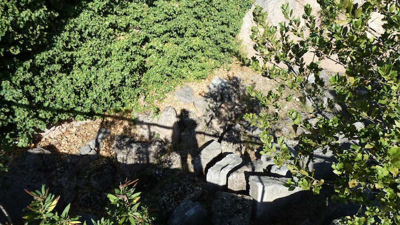 Delphi 25.JPG